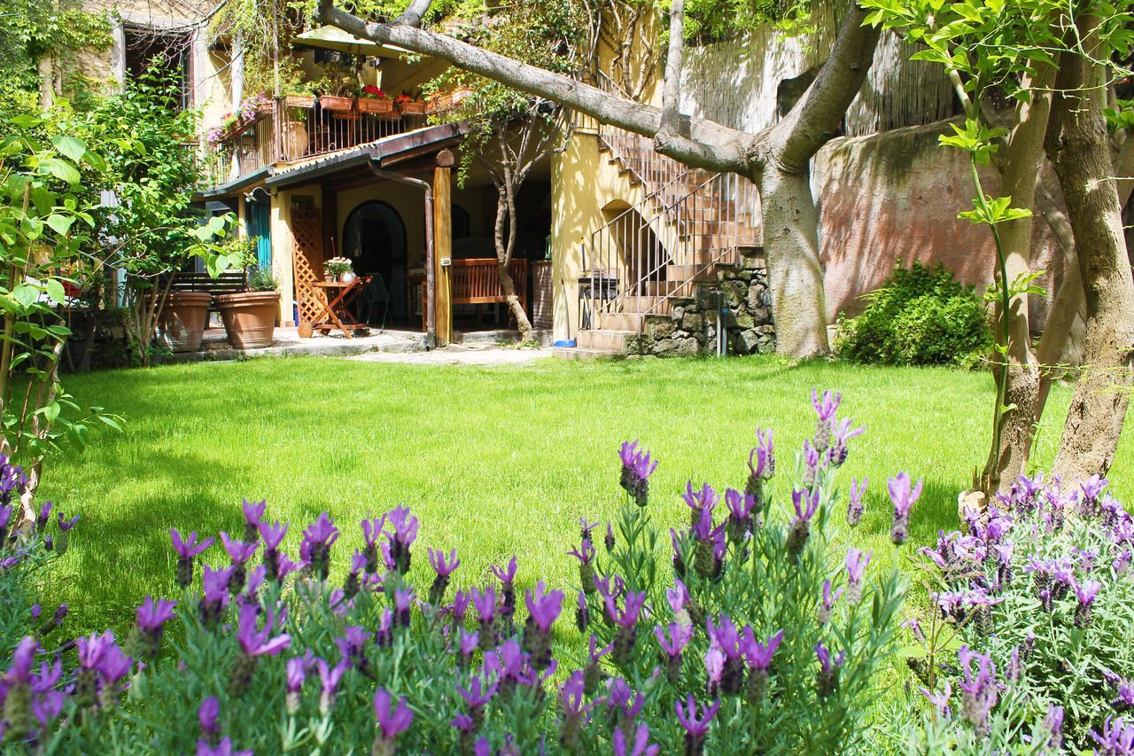 Inn The Garden CTA Eksteriør billede